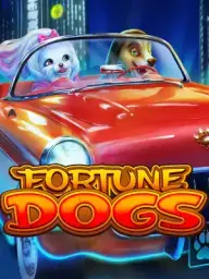 Fortune Dogs