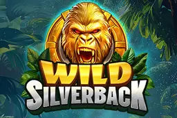Wild Silverback