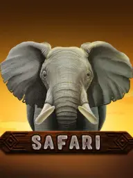 Safari