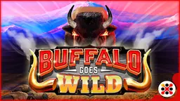 Buffalo Goes Wild
