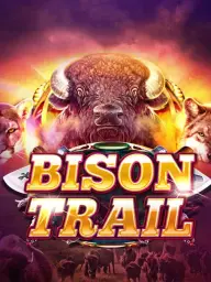 Bison Trail