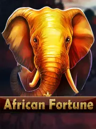 African Fortune
