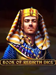 Book of Rebirth Dice