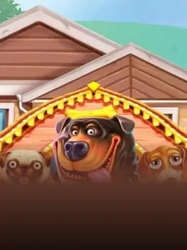 The Dog House